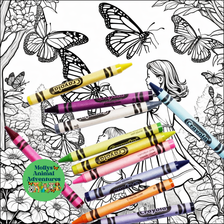 Color your dreams with the vibrant strokes of imagination, one crayon at a time!