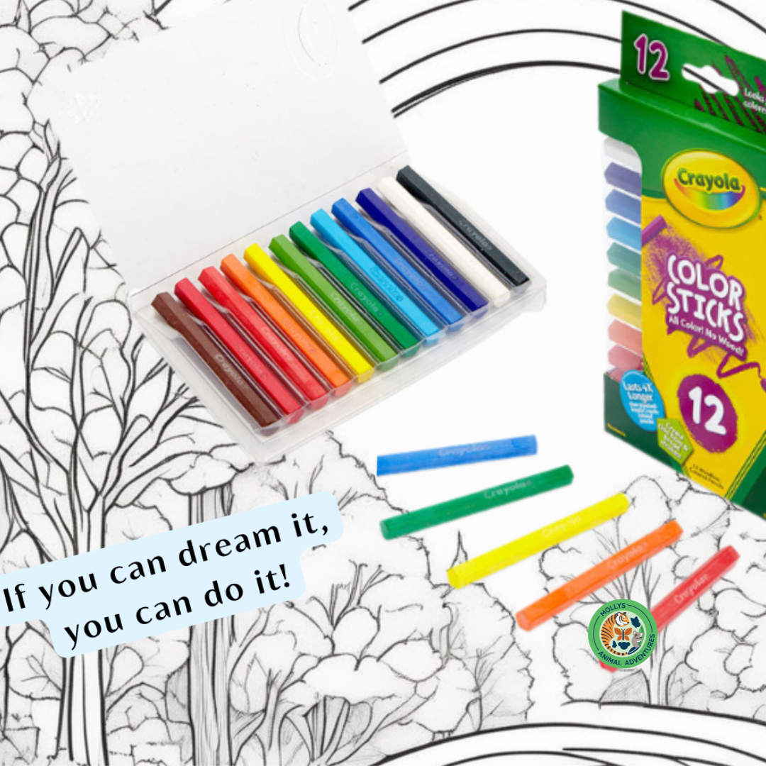 Art Supplies 2312C Crayola Color Sticks 12 Pack