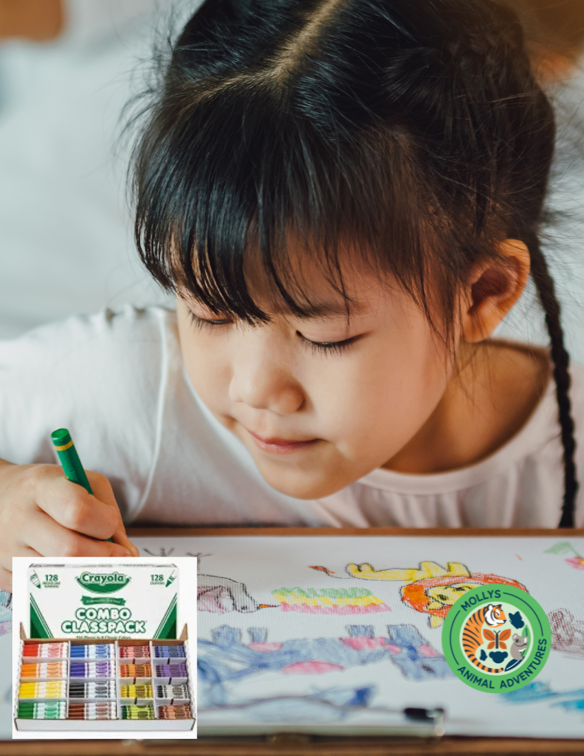 Inspire Creativity: 256-Piece Crayon & Marker Mega Pack – Bold Colors for Big Adventures